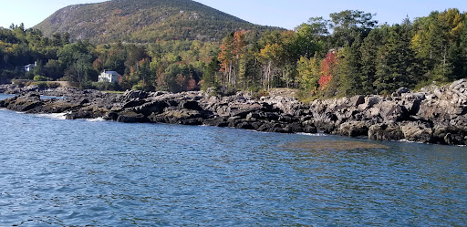 Tourist Attraction «Acadian Boat Tours», reviews and photos, 119 Eden St, Bar Harbor, ME 04609, USA