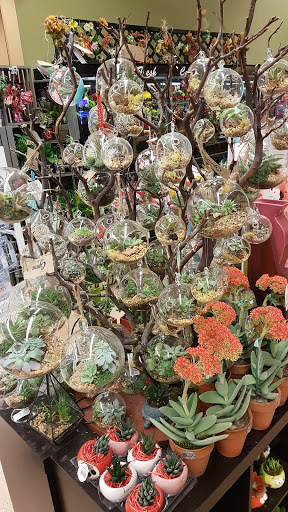 Shopping Mall «Ellsworth Shopping Center», reviews and photos, 175 High St, Ellsworth, ME 04605, USA