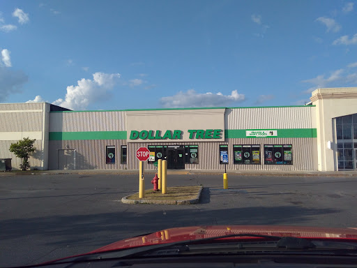 Dollar Store «Dollar Tree», reviews and photos, 830 Main St c, Presque Isle, ME 04769, USA