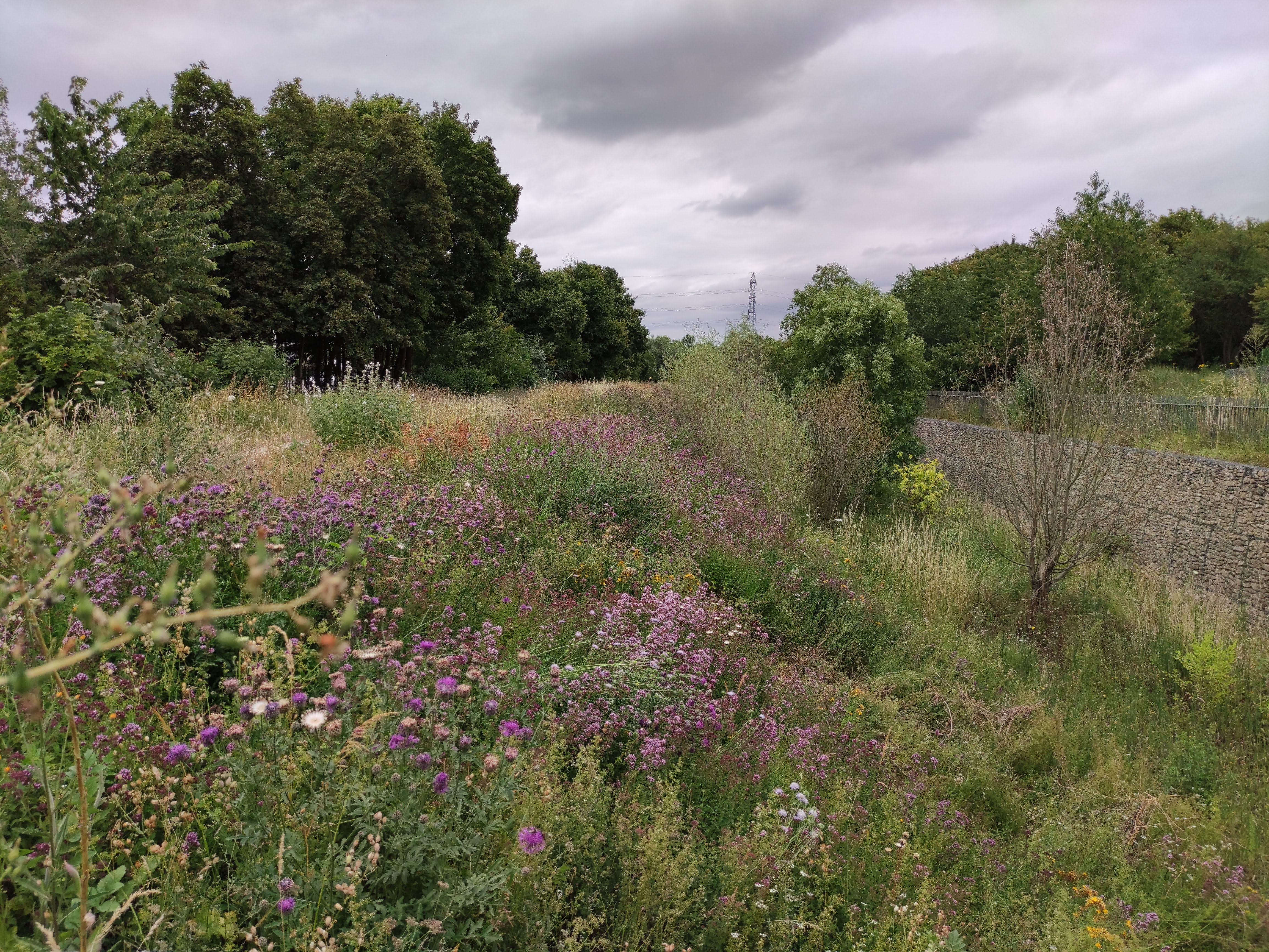 Photo n° 11 de l'avis de Sanjy.u fait le 25/07/2020 à 15:24