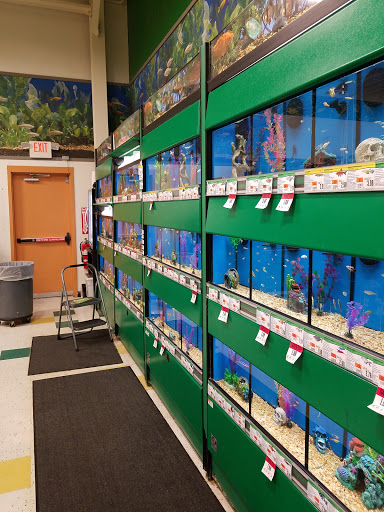 Pet Supply Store «Pet Supplies Plus», reviews and photos, 3120 NJ-35, Hazlet, NJ 07730, USA