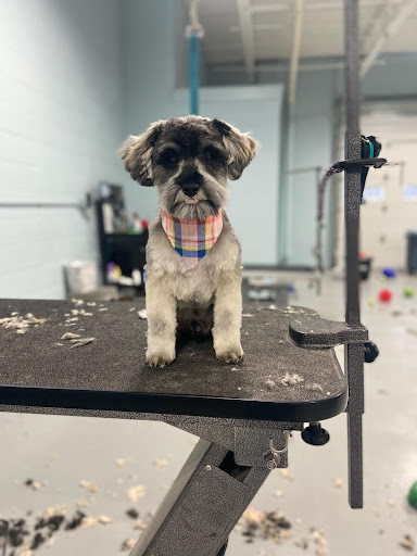 Woofers Grooming Salon, LLC