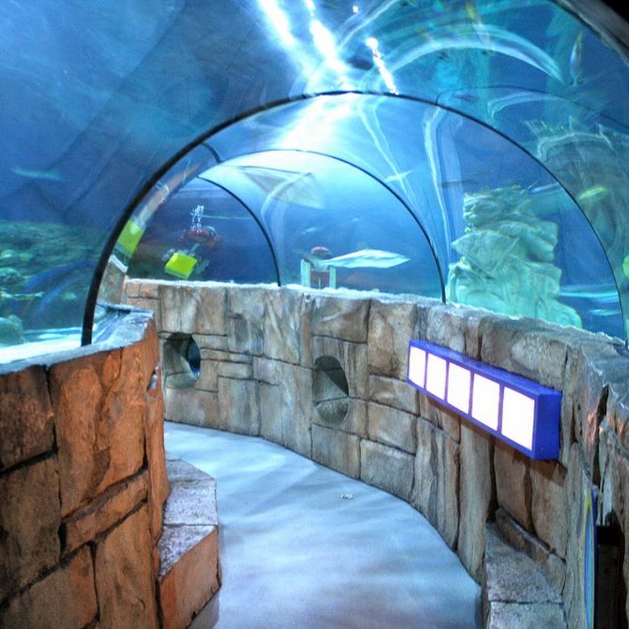 SEA LIFE Aquarium