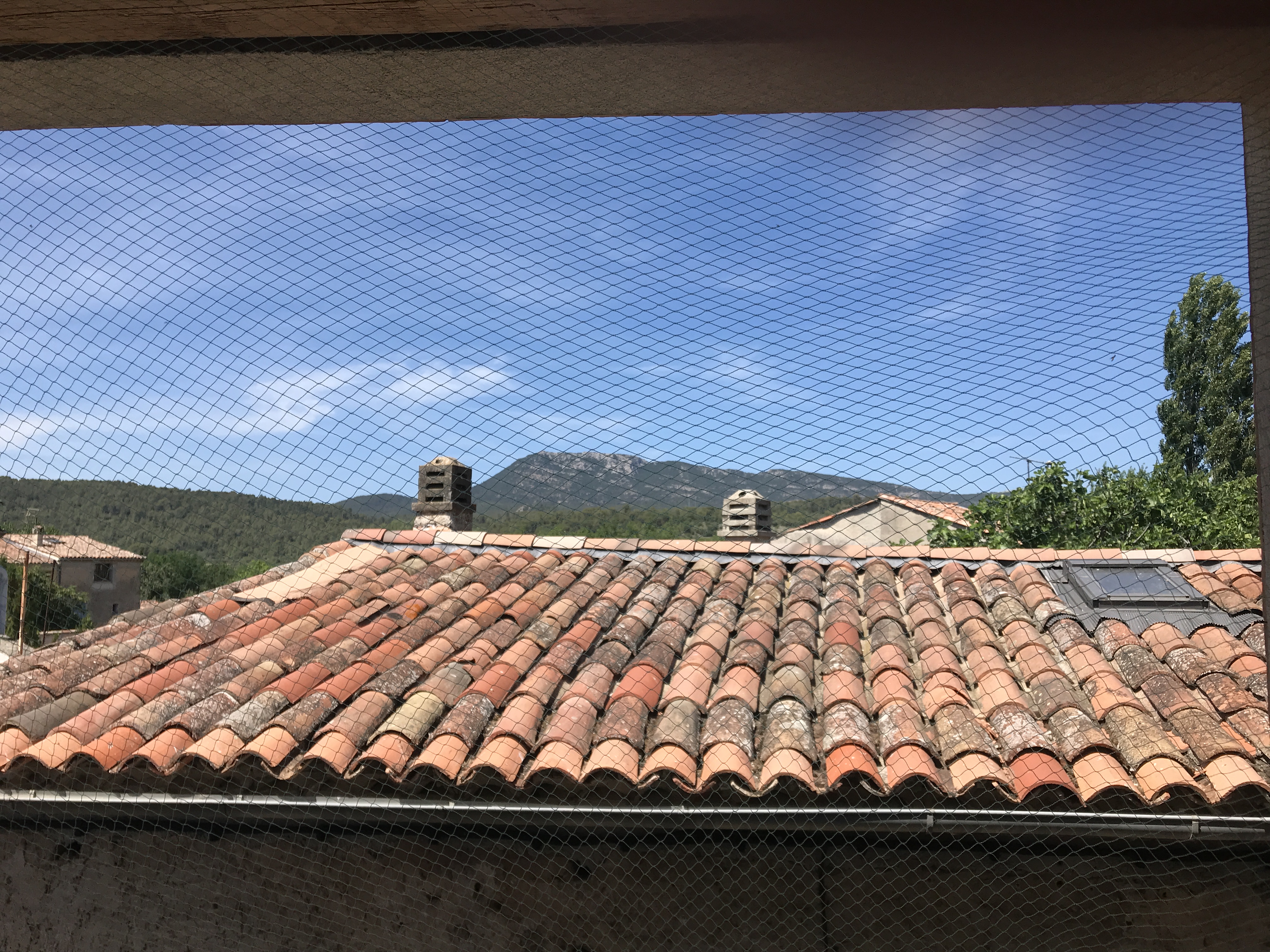 Photo n° 3 de l'avis de faustine.e fait le 05/07/2021 à 17:41