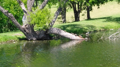 Park «Victoria Park», reviews and photos, 3051 W Northgate Dr, Irving, TX 75062, USA
