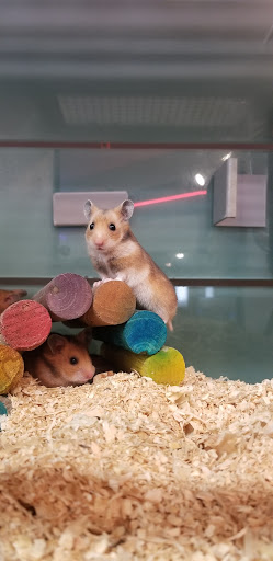 Pet Supply Store «Feeders Supply», reviews and photos, 1610 Ring Rd, Elizabethtown, KY 42701, USA