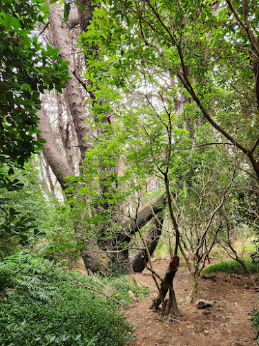 Mt Victoria Reserve Walking Paths - Museum