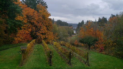 Vineyard «Olalla Vineyard & Winery», reviews and photos, 13176 Olalla Valley Rd SE, Olalla, WA 98359, USA