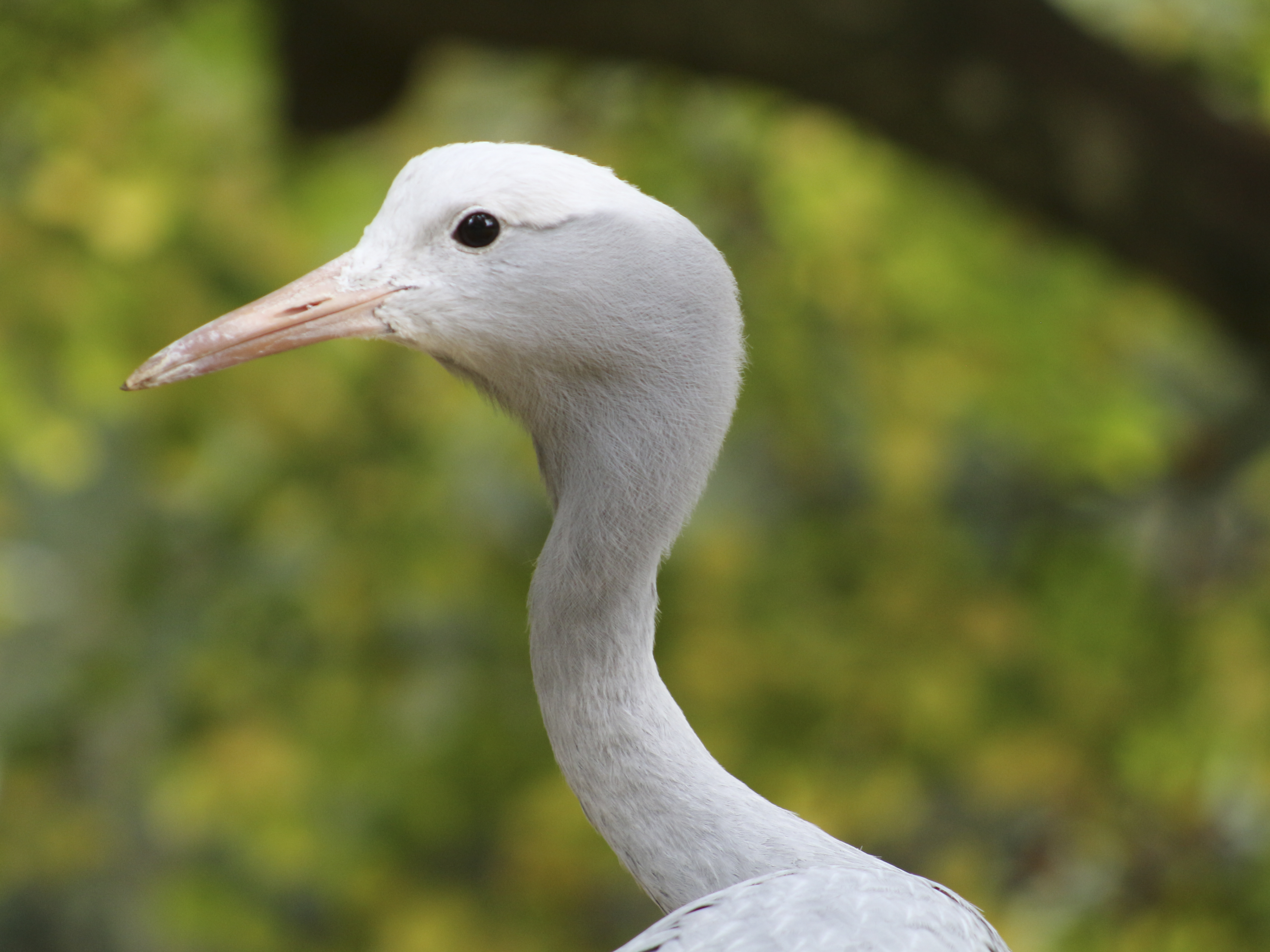 Photo n° 24 de l'avis de Laurent. fait le 05/08/2022 à 12:06