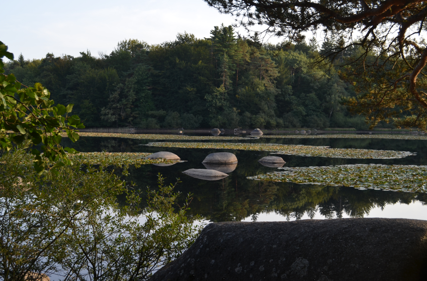 Photo n° 5 de l'avis de Alain.a fait le 06/10/2019 à 14:59
