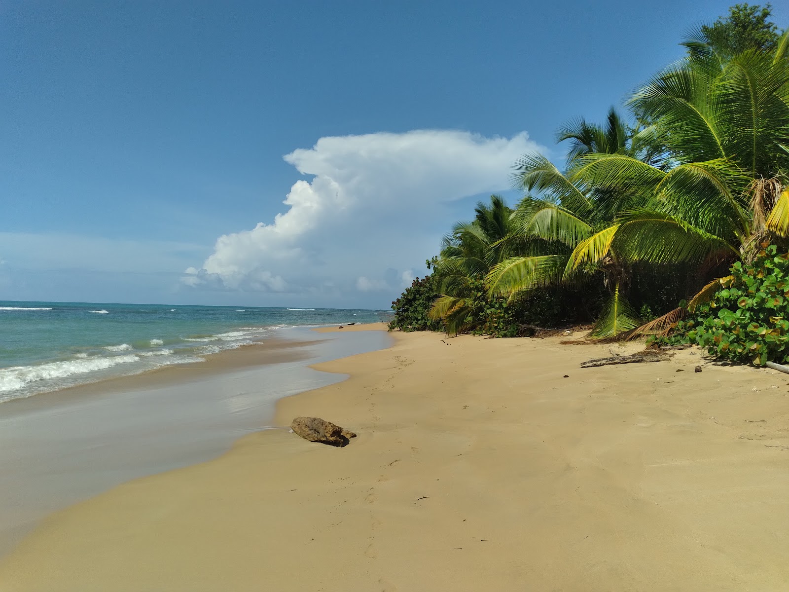 Φωτογραφία του Playa Cabeza Chiquita με καθαρό νερό επιφάνεια