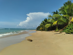 Foto von Playa Cabeza Chiquita mit geräumige küstenlinie