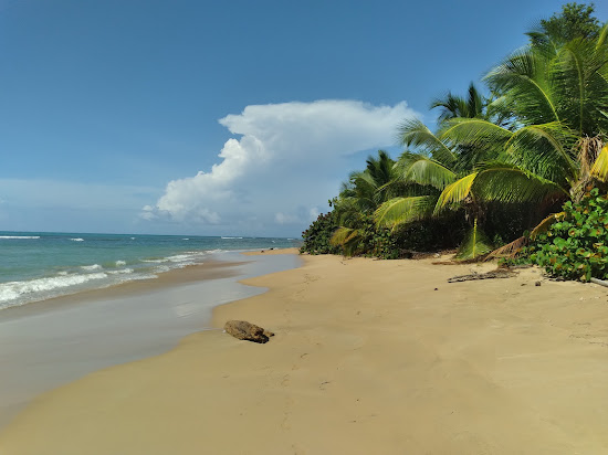 Playa Cabeza Chiquita