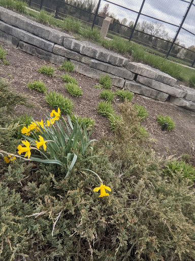 Park «Heritage Oaks Park», reviews and photos, 310 N Fairfield Rd, Hawthorn Woods, IL 60047, USA