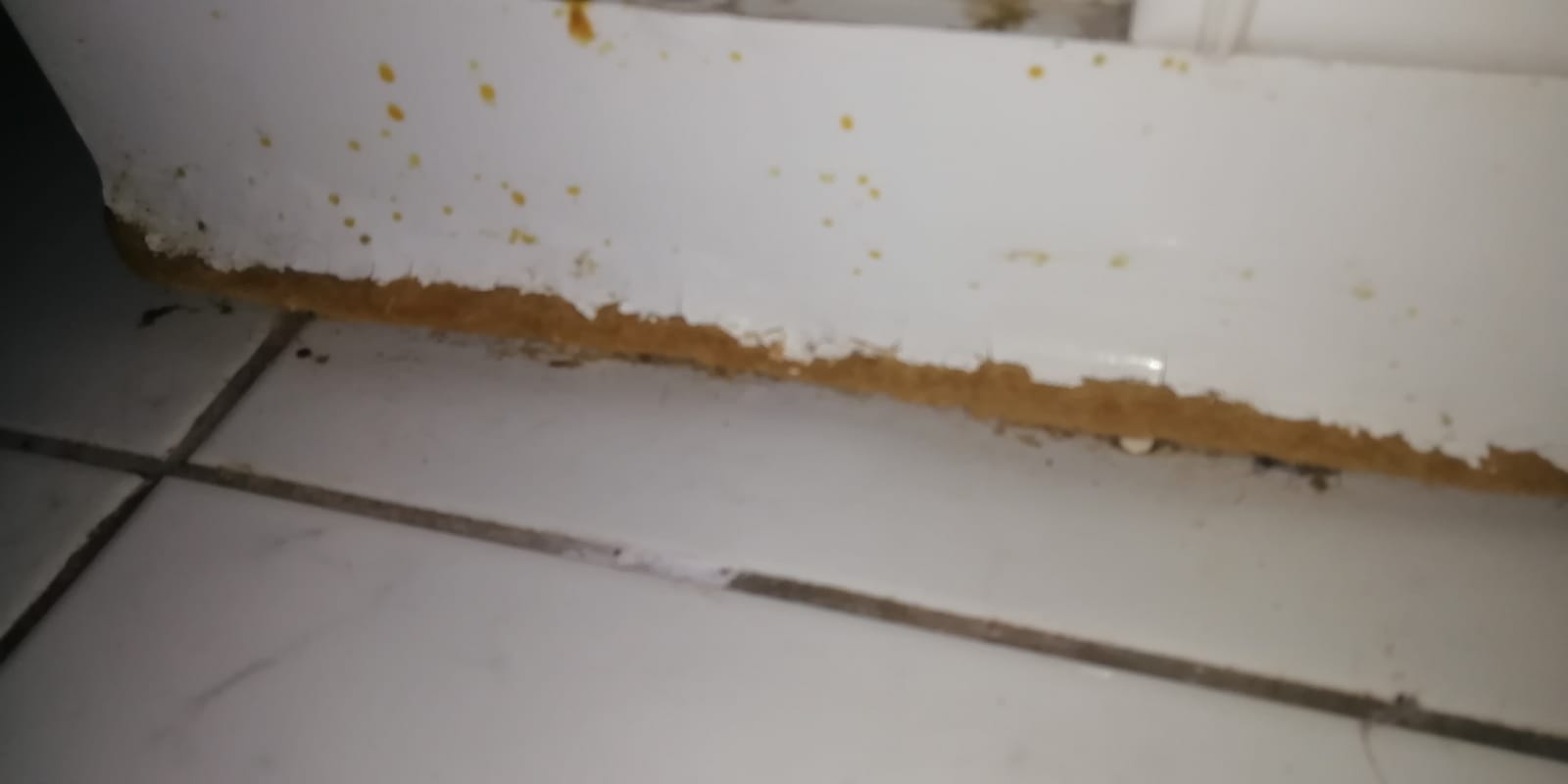 Photo n° 3 de l'avis de Nawelle.a fait le 31/03/2020 à 14:25
