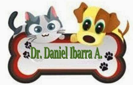 Veterinaria Dr. Daniel Ibarra A. / Curicó - Veterinario