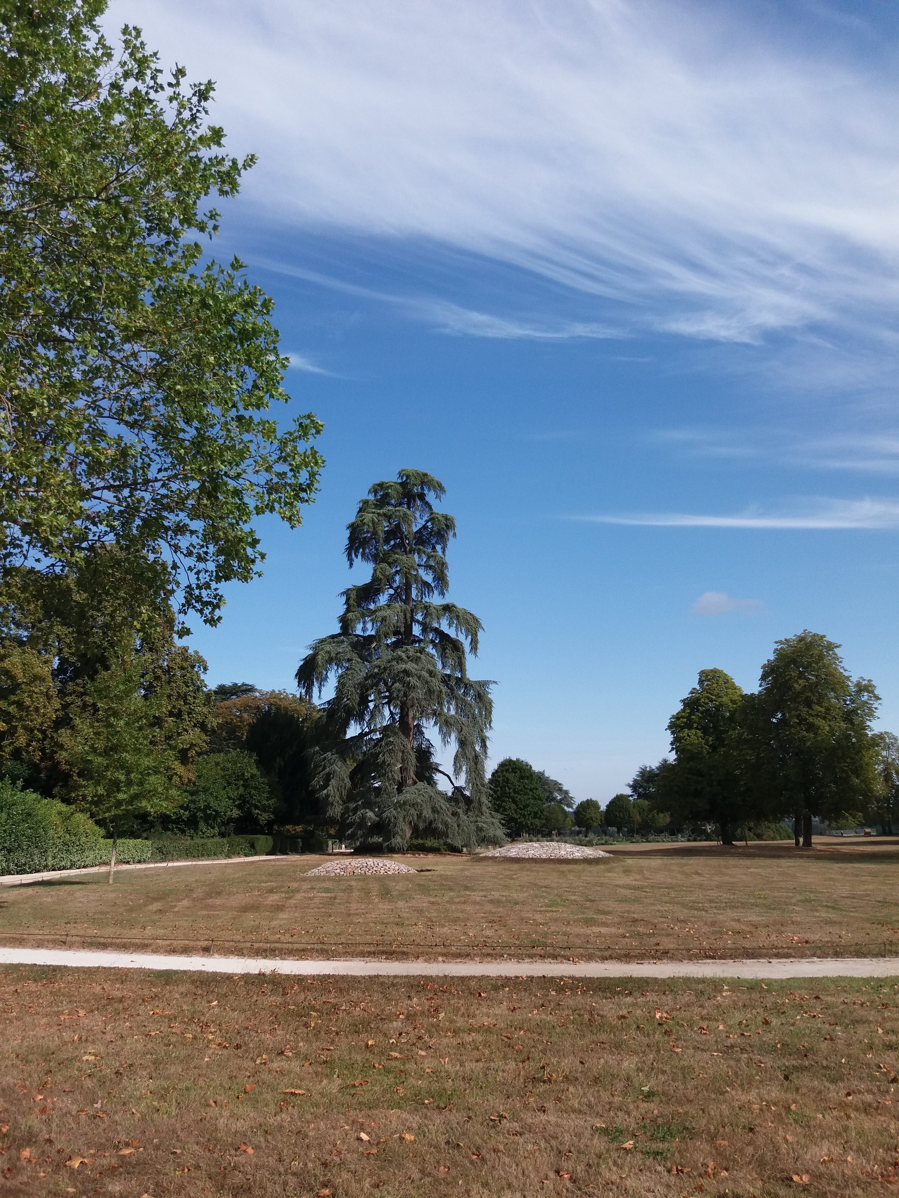 Photo n° 24 de l'avis de Pascaly.a fait le 14/08/2019 à 14:23