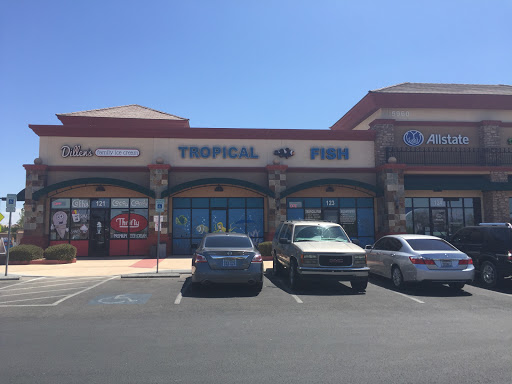 Tropical Fish Store «Blue Reef Aquatics», reviews and photos, 5960 Losee Rd, North Las Vegas, NV 89081, USA