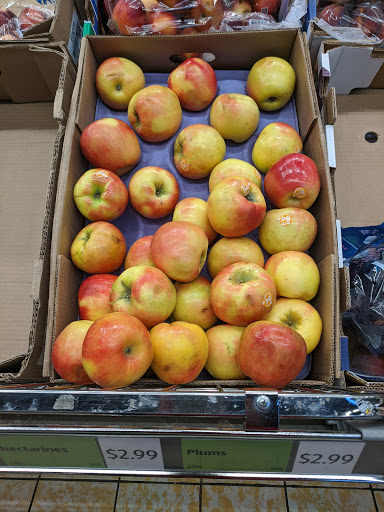 Supermarket «ALDI», reviews and photos, 1284 Boston Rd, Springfield, MA 01119, USA