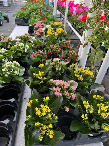 Florist «TG Designs», reviews and photos, 19231 Longmeadow Rd, Hagerstown, MD 21742, USA