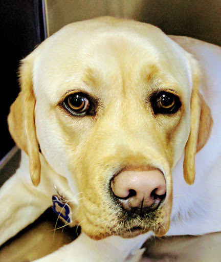 642 Hale St, Beverly, MA 01915, USA