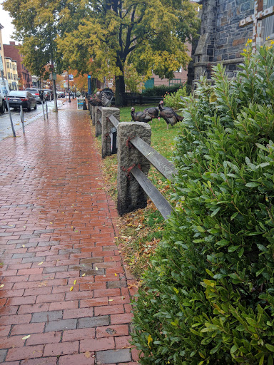 Ballet Theater «José Mateo Ballet Theatre», reviews and photos, 400 Harvard St, Cambridge, MA 02138, USA