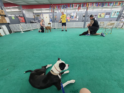 Canine Sports Unlimited