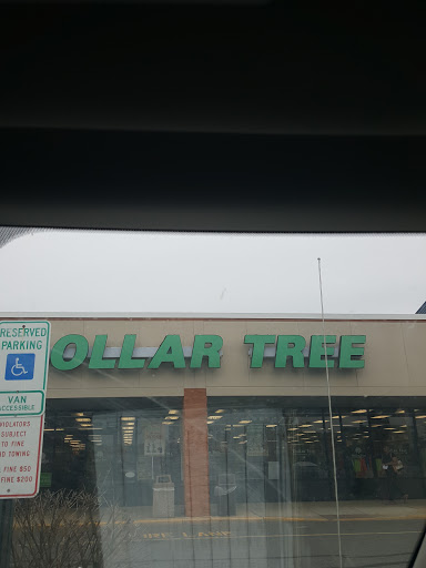 Dollar Store «Dollar Tree», reviews and photos, 5448 Perkiomen Ave, Reading, PA 19606, USA