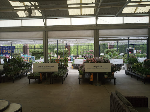 Department Store «Walmart Supercenter», reviews and photos, 2635 Pleasant Hill Rd, Duluth, GA 30096, USA