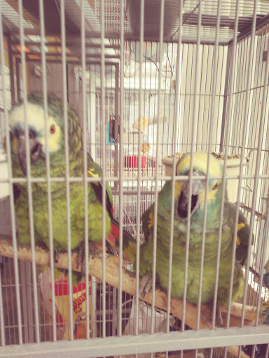 Pet Supply Store «El Granero Feed & Pet Supplies», reviews and photos, 2228 Church Ln, San Pablo, CA 94806, USA