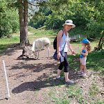 Photo n°2 de l'avis de vittorio.o fait le 11/09/2023 à 16:57 sur le  Rifugio Tavecchia à Introbio
