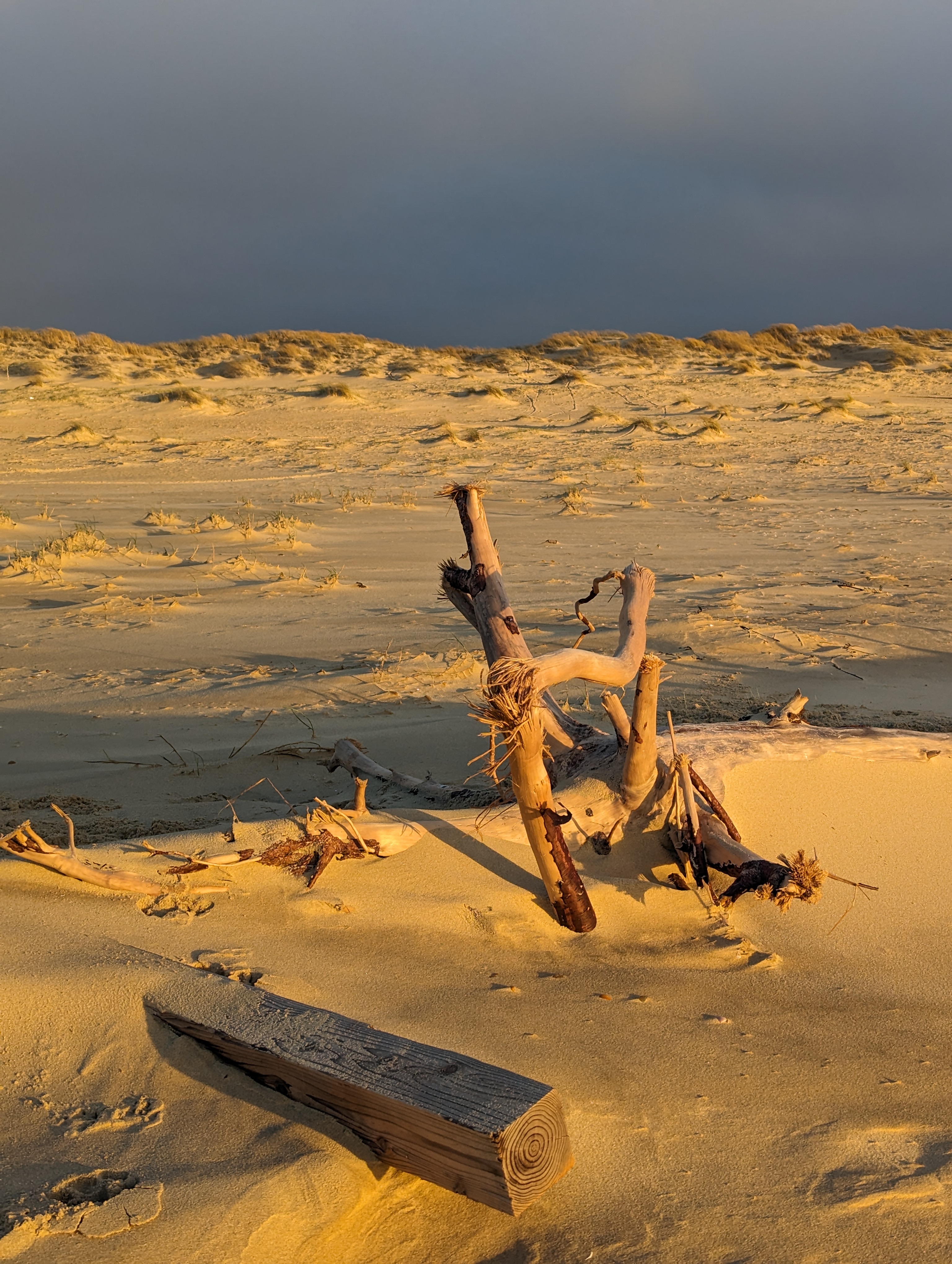 Photo n° 15 de l'avis de christophe.r fait le 30/12/2023 à 16:37