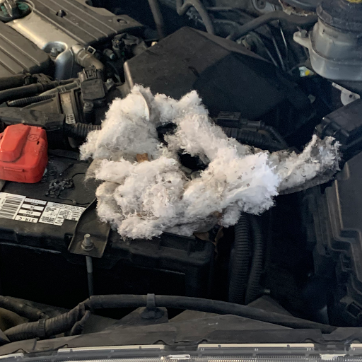 Auto Repair Shop «Orlando Import Auto Specialists, Inc.», reviews and photos, 2801 E South St, Orlando, FL 32801, USA