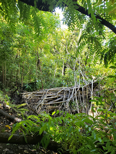 Nā Ala Hele Trail