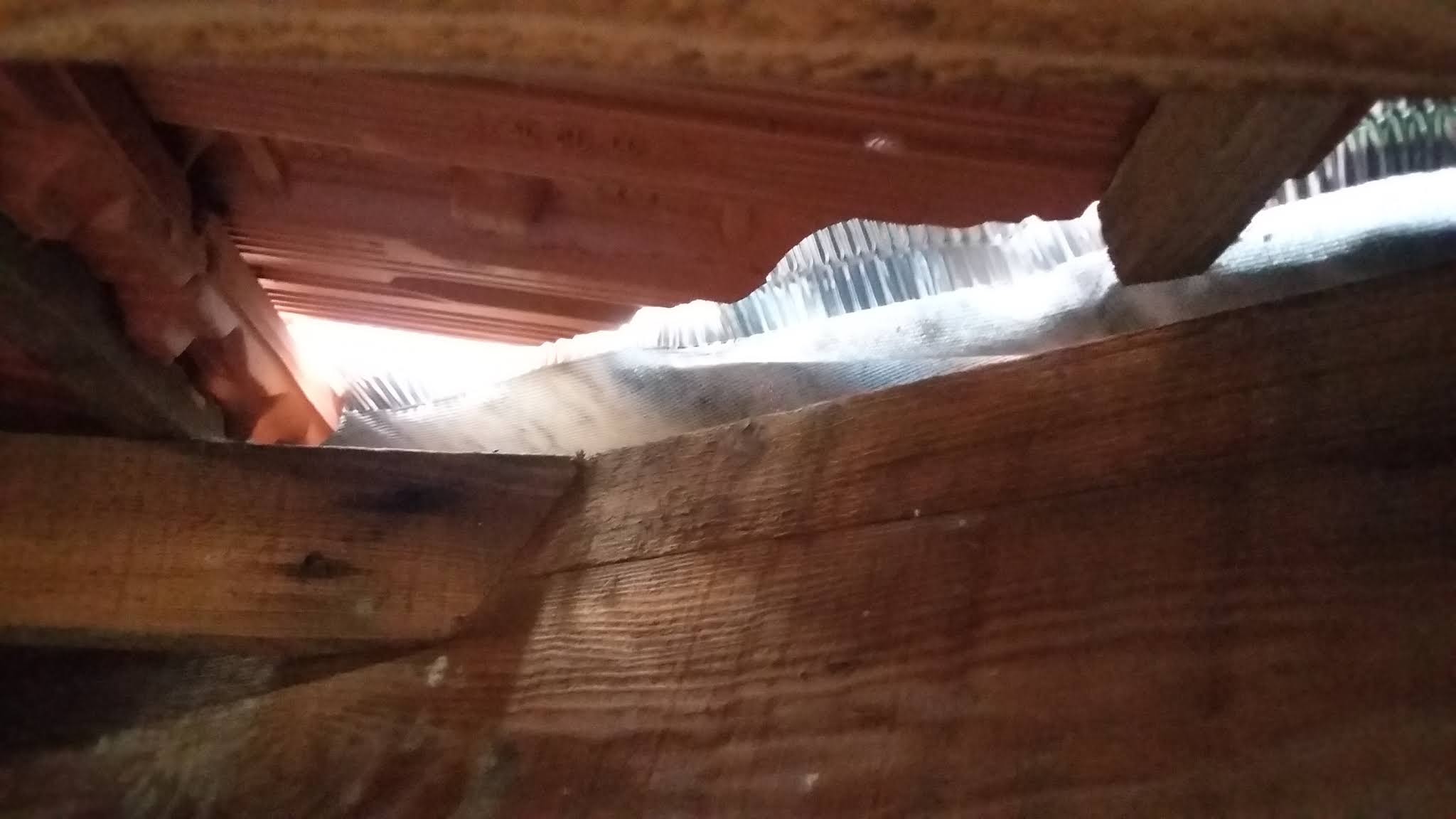 Photo n° 6 de l'avis de Samuel.e fait le 31/03/2020 à 17:20