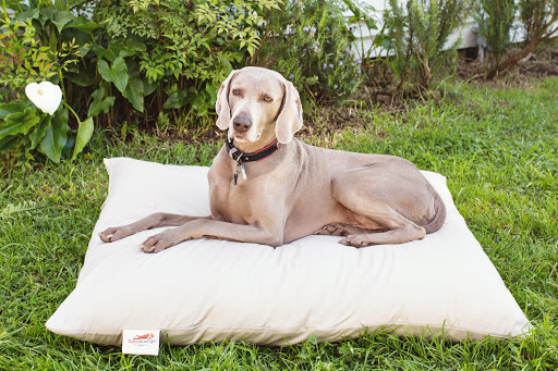 Futon Store «The Futon Shop», reviews and photos, 4898 El Camino Real, Los Altos, CA 94022, USA