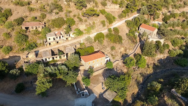 Opinii despre Σχολείο Παλαιάς Ποταμιάς în Μυτιλήνη - Σχολείο