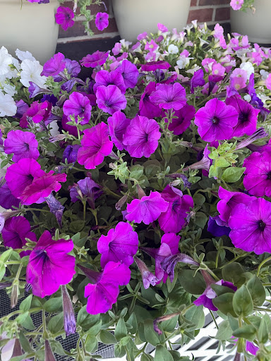 Grocery Store «Stop & Shop», reviews and photos, 32 Lyman St, Westborough, MA 01581, USA