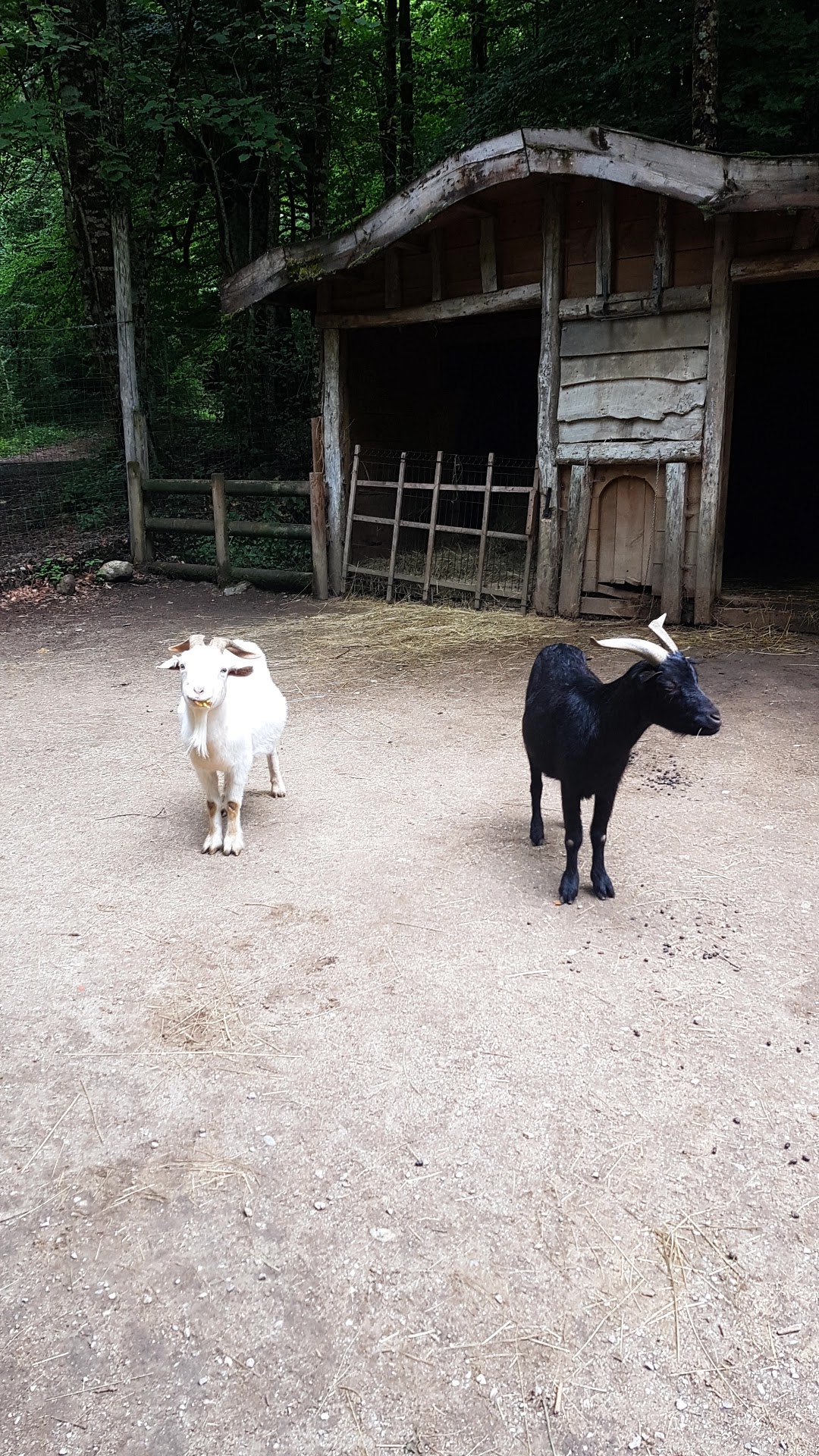 Photo n° 1 de l'avis de Cécile.e fait le 26/08/2022 à 18:02