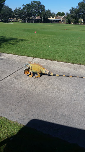 Golf Course «Pembroke Lakes Golf», reviews and photos, 10500 Taft St, Pembroke Pines, FL 33026, USA