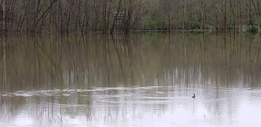 Golf Course «The Valley Links Course», reviews and photos, 8670 IN-56, French Lick, IN 47432, USA