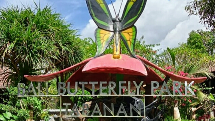 Taman Kupu-kupu_bali Butterfly Park Photo