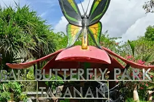 Bali Butterfly Park image
