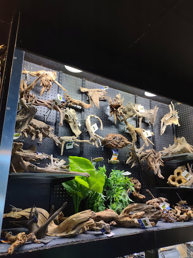 Pet Store «Laconia Pet Center», reviews and photos, 1343 Union Ave, Laconia, NH 03246, USA