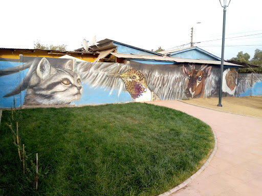 Mural Fauna Andina