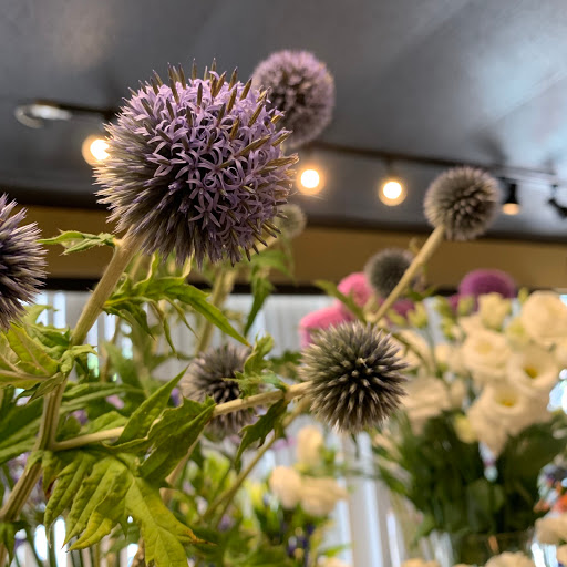 Florist «Petal Street Flower Company», reviews and photos, 2319 Bridge Ave, Point Pleasant, NJ 08742, USA