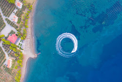 Makis beach'in fotoğrafı çok temiz temizlik seviyesi ile