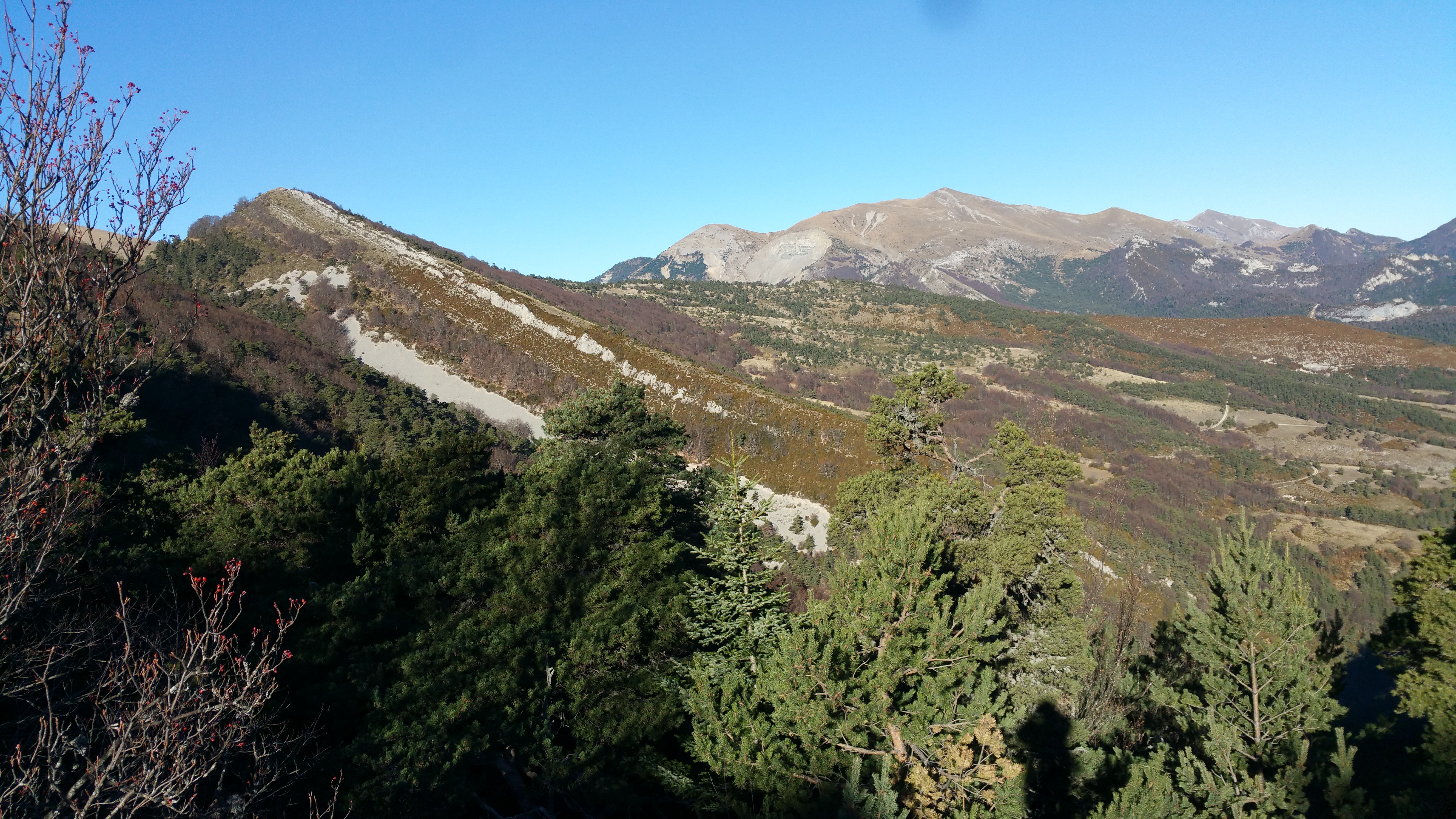 Photo n° 3 de l'avis de Pierro.e fait le 06/08/2017 à 07:43