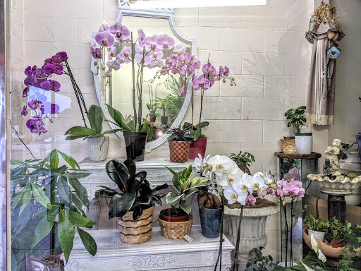My Flower Shop