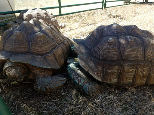 Fairground «Kitsap County Fairgrounds», reviews and photos, 1200 Fairgrounds Rd NW, Bremerton, WA 98311, USA